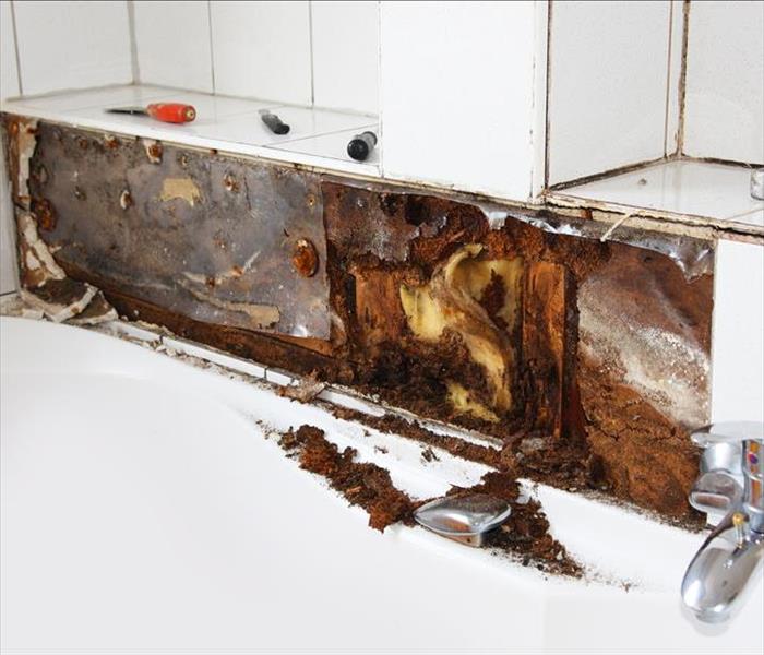 mold damaged bathroom