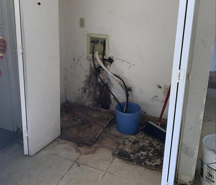 Water damaged and mold in laundry area