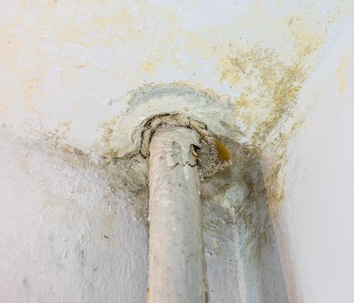 water and mold pipe
