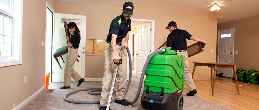 Pleasanton, CA cleaning services