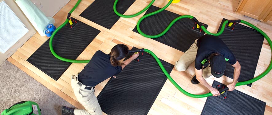 Pleasanton, CA drying water extraction