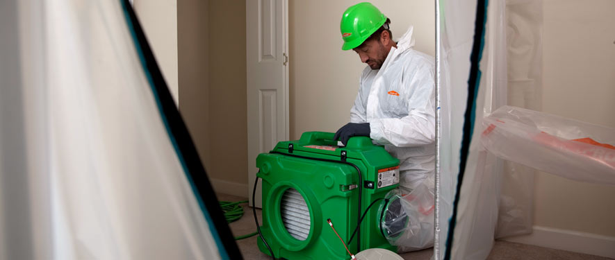 Pleasanton, CA mold cleanup