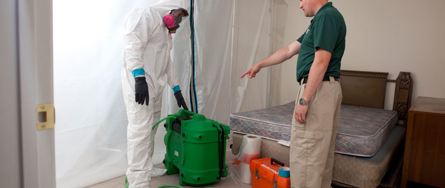 Pleasanton, CA mold removal process